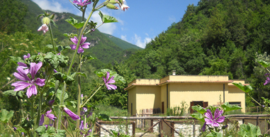 Il Giardino dei Cinque Sensi