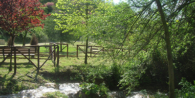 Il Giardino dei Cinque Sensi