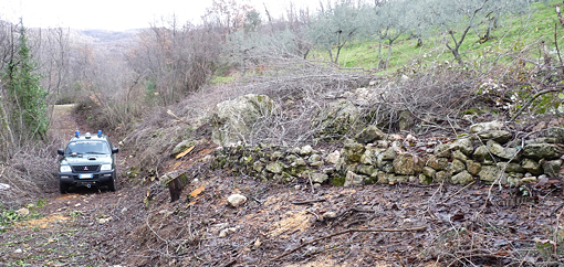 Controlli boschivi al Parco dei Monti Lucretili